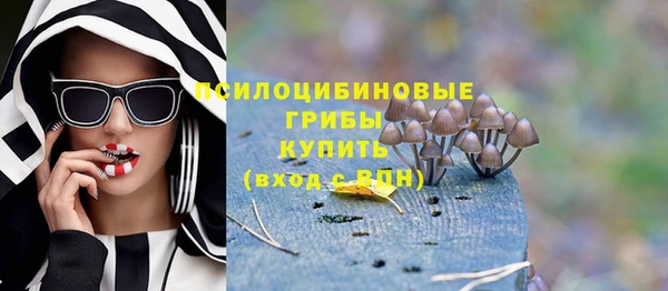 прущая мука Болотное
