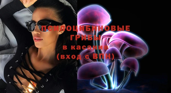 бошки Бугульма